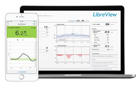 libreview reports|freestyle libre 14 day reports.